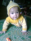 H�nh �nh0341